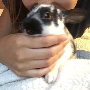 Meet your Posher, Elysia